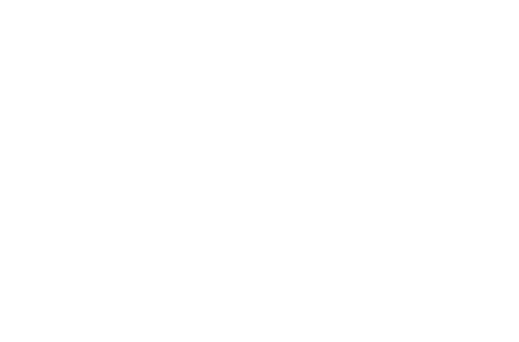 NetzDevs Logo in Weiß ohne Slogan auf transparentem Hintergrund.