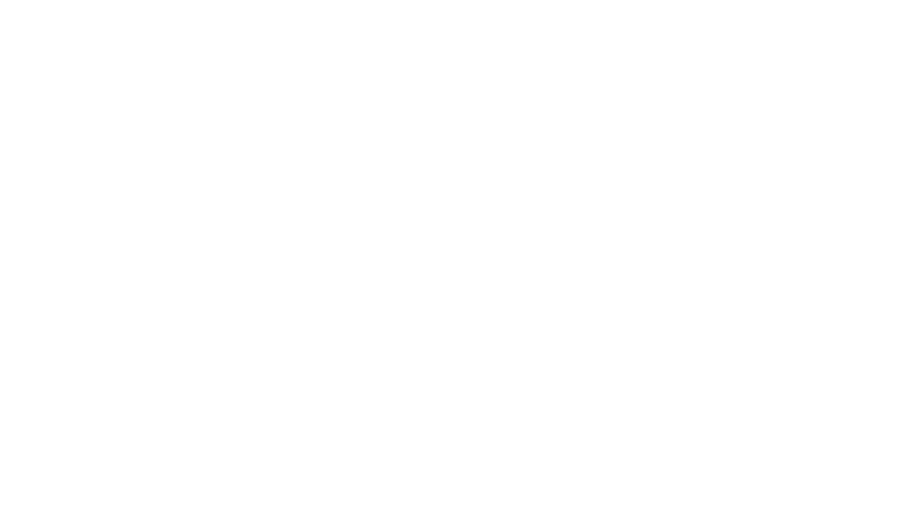 Weißes Logo-Symbol der Webagentur NetzDevs auf transparentem Hintergrund
